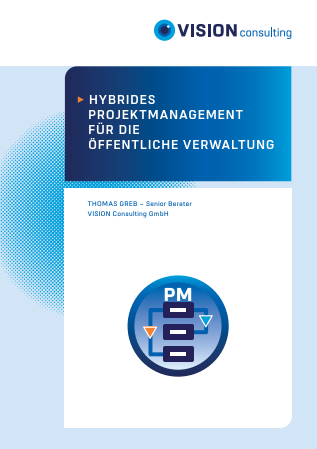 VISION Consulting Projekt Management Whitepaper Preview
