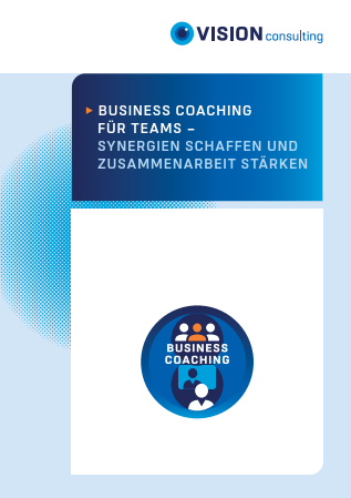 VISION Consulting Teamcoaching Whitepaper Layout Preview